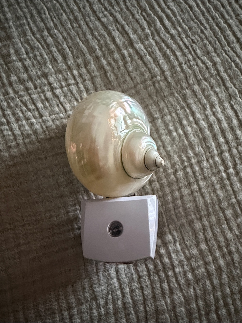 Beautiful Opalescent Conch Seashell Nightlight